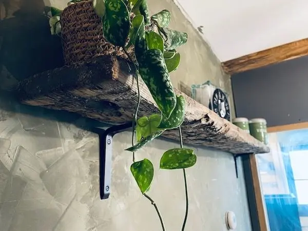 IMG_1890_bbb3756420 IMG_1890_bbb3756420